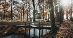 Koppel op een brug